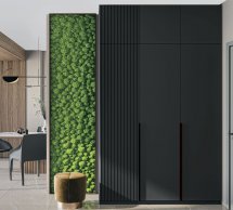 Шкаф 3Д + антресоль 3Д Лайн Элегант