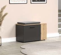 Шафка для взуття 1D1K графіт Esteban