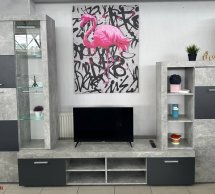 Стінка Альпін