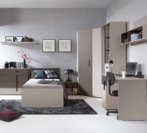 Шкаф угловой 2DN Никко