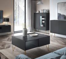 Вітрина WT97 Harmony