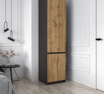 Шкаф Морели Т218 венге черный/аппалачи со штангой 50 см