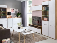 Витрина REG1W1D Zele