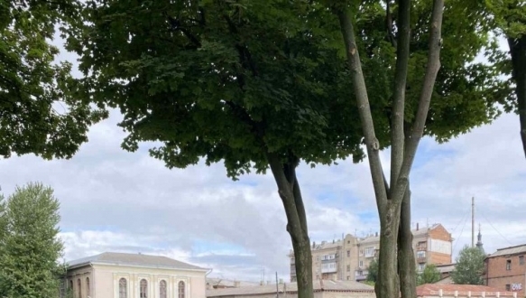 Кровать Порш серия 