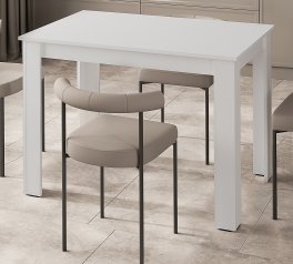 Стол обеденный SK0001