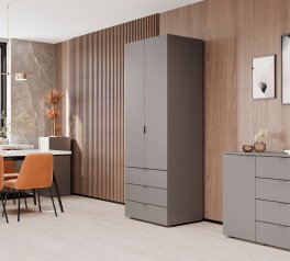 Шкаф для одежды Дорос Гелар графит 2-х дверный 77,5 см