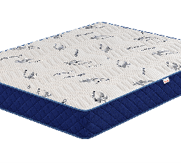 Матраc Skate New ТМ AKTIVE