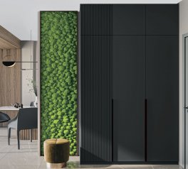 Шафа 3Д + антресоль 3Д Лайн Елегант