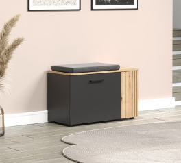 Шкафчик для обуви 1D1K графит Esteban