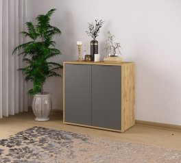 Комод 2Д Нітро