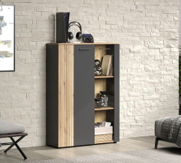 Вітрина низька 2D1W графіт Esteban