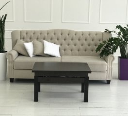 Стол-трансформер Баттерфляй