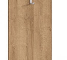 Вішак WIE/45 Balder