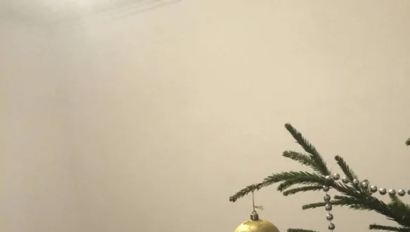 Угловой диван Мадрид Ортопедический 19