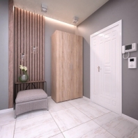 Шкаф Морели SТ 0009 2 дверный дуб сонома с трубой 100 см