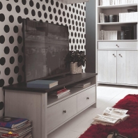 Тумба ТВ RTV2S Парис