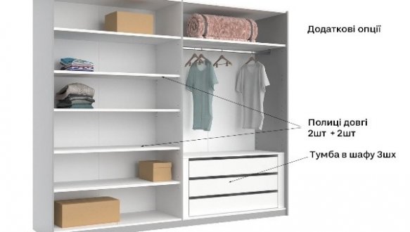 Шкаф-купе 2.5 Меги 4