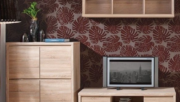 Тумба ТВ RTV2S/14 Каспиан Сонома 0