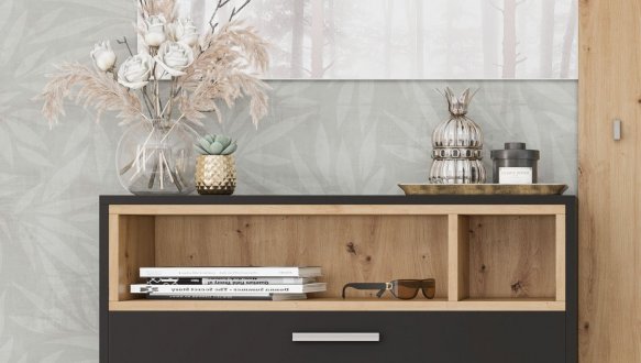 Передпокій Хайді 5