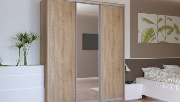 Шкаф-купе с зеркалом Дорос Сити Лайт 3 дверный 225 см 1