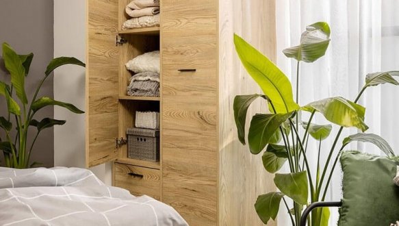 Шкаф SZF2D2S BRW Poland Ramla 2 дверный ясен белоруский 90 см 1