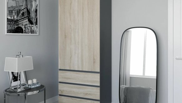 Шафа Морелі Т211 2 дверна графіт з трубою 80 см 3