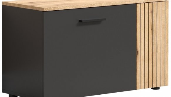 Шкафчик для обуви 1D1K графит Esteban 0