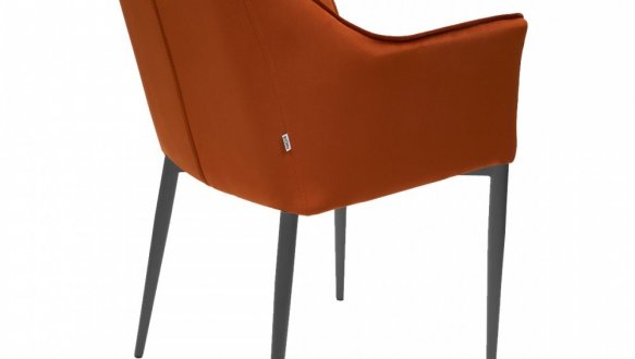 Крісло Frank/Френк Bjorn 87 см 25