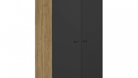 Шкаф BRW Poland Zenda 2 дверный дуб 90 см 2