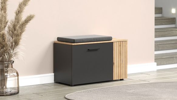 Шкафчик для обуви 1D1K графит Esteban