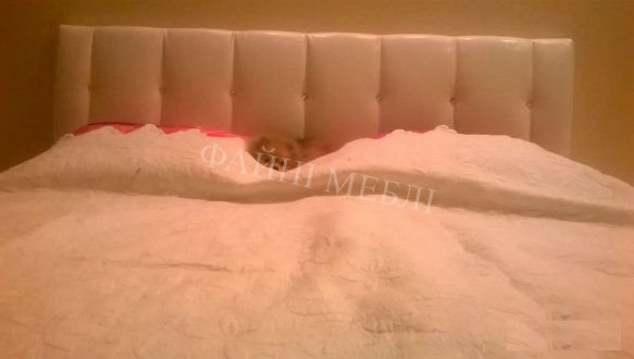 Кровать Nadi / Signal 0