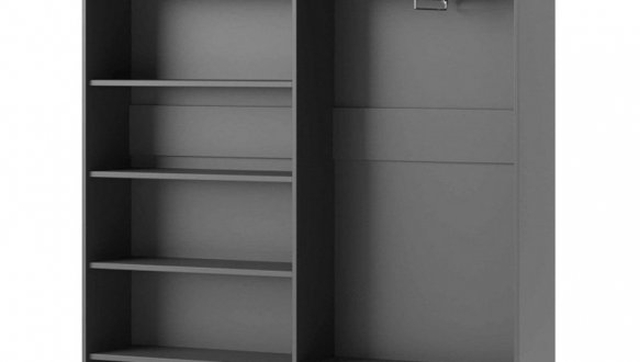 Шкаф-купе 12 OMEGA 2