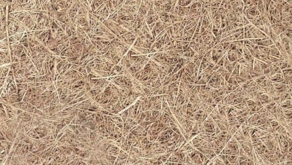 Матрац Роуз двосторонній 8