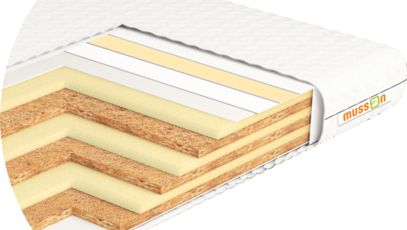 Матрас ЕКОЛАТЕКС DUAL / TM MUSSON 2