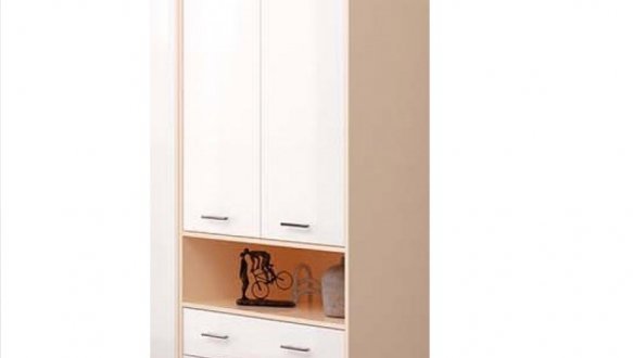 Шкаф 2д + 3шх Лира 2