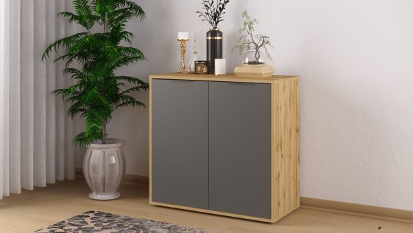 Комод 2Д Нітро