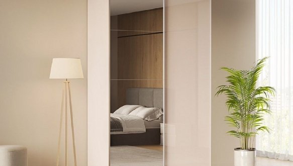 Шкаф-купе Лили 0