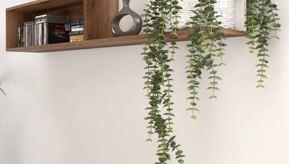 Полка POL/160 Forn 1