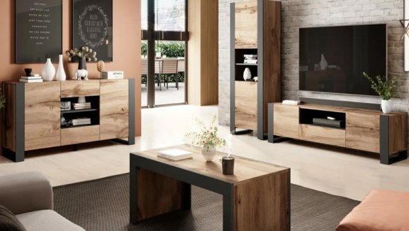 Вітрина-стелаж для книг Wood 3