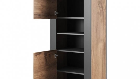 Вітрина-стелаж для книг Wood 1