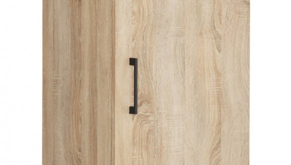 Пенал навісний SFW/50/50/30/4 Modeo 0