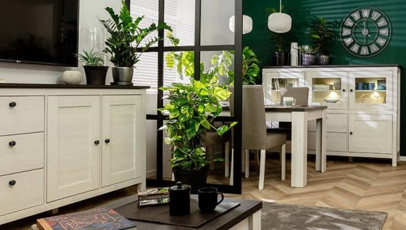 Витрина REG1W1D/20/7 Hesen 1