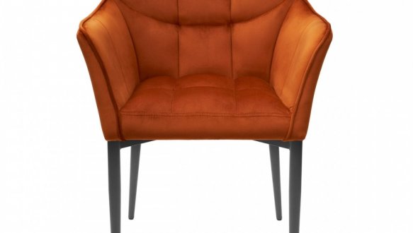 Крісло Frank/Френк Bjorn 87 см 23