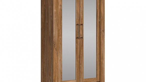 Шкаф REG2L1S/20/9 BRW Poland Gent 2 дверный дуб стирлинг 88 см 0