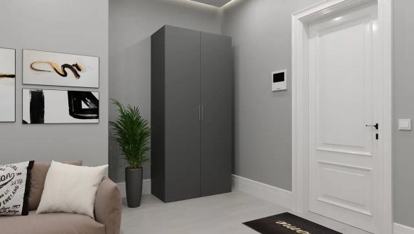 Шкаф Морели SТ0010 2 дверный антрацит с полками 100 см