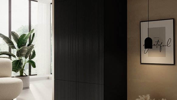 Шафа 90 2D Cama Pafos 2 дверна чорний 90 см 0