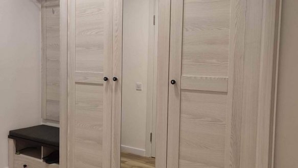 Шкаф 3D Амстердам 2