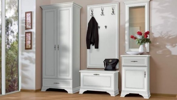 Шкаф SZF 2D1S(N) Кентуки 0