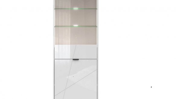 Витрина REG1D1W Forn