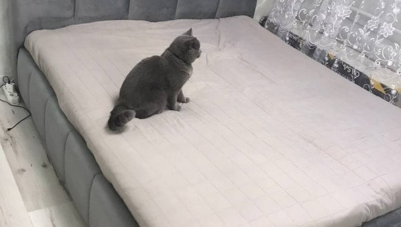 Ліжко м'яке двоспальне Тейлор з підйомним механізмом та нішею для білизни 18